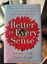 better in every sense book front cover