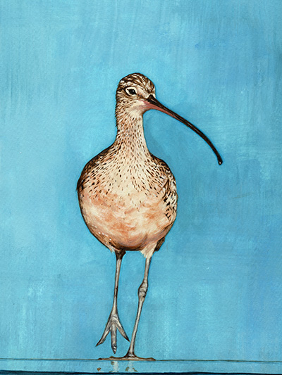 Curlew on blue hand painted by Beth Lowe