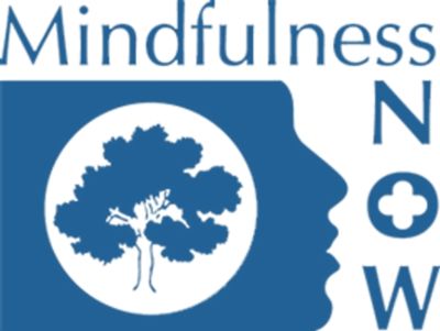 mindfulness now logo